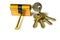 Cylinder lock internal mechanism pin with keys on white background