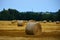 Cylindrical Bales of Straw in Field