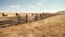 Cylindrical hay bales, neatly strewn across a vast field, stand as humble monuments to rural labor