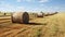Cylindrical hay bales, neatly strewn across a vast field, stand as humble monuments to rural labor