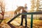 Cynologist training sniffing dog on playground