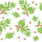 Cypress branch pattern