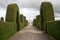 Cypress bush topiary in Tulcan Ecuador