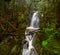 Cypress Creek running through a rough terrain in a dark rainforest with Douglas fir and western red cedar trees covered in moss