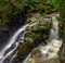 Cypress Creek running through a rough terrain in a dark rainforest with Douglas fir and western red cedar trees covered in moss