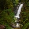 Cypress Creek running through a rough terrain in a dark rainforest with Douglas fir and western red cedar trees covered in moss