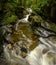 Cypress Creek running through a rough terrain in a dark rainforest with Douglas fir and western red cedar trees covered in moss