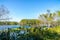 cypress dome island swamp