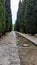 Cypress garden