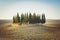 Cypress garden on a hill among empty rolling fields in Tuscany