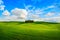 Cypress group and field rural landscape in Orcia, San Quirico, T