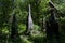 Cypress knees in middle of forest