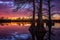 Cypress Lake, scenic sunset, Southern Illinois