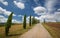 Cypress lined driveway in Tuscany, Italy