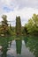 Cypress reflected in a pond