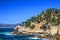 Cypress on rock, Point Lobos Natural Preserve