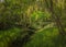 Cypress swamp along the Kirby Storter Roadside Park boardwalk trail