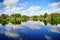 Cypress tree in a lake