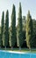 Cypress trees and pool in Pulgas Water Temple. Woodside, California