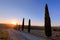 Cypress trees road in Tuscany, Italy at sunrise. Val d\'Orcia