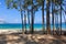 Cypress trees on seaside. Kefalonia, Ionian islands, Greece