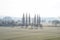 cypress trees in winter with frozen fields in swampland ThÃ¼rer Wiesen