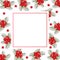 Cypress vine Flower on Christmas White Banner Card. Vector Illustration