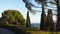 Cypresses on a background of blue sky