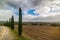 Cypresses on the edge of a country road in Tuscany