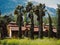 Cypresses, palms and villas somewhere near Kemer