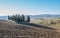 Cypresses of San Quirico d'Orcia