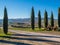 Cypresses of San Quirico d'Orcia