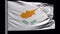 Cyprus national flag