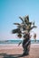 Cyprus seashore, blue sky and waves and palm tree