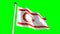 Cyprus Turkish Republic flag