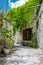 Cyprus village Lefkara. View of a village stony street with lot of green and colorful walls