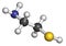 Cysteamine Huntington\\\'s disease drug molecule