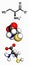 Cysteine l-cysteine, Cys, C amino acid molecule.