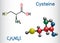 Cysteine L-cysteine, Cys, C proteinogenic amino acid molecule. Structural chemical formula and molecule model