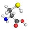 Cysteine molecule