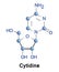 Cytidine component of RNA.