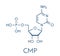 Cytidine monophosphate CMP, cytidylate RNA building block molecule. Skeletal formula.