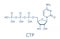 Cytidine triphosphate CTP RNA building block molecule. Also functions as cofactor to some enzymes. Skeletal formula.