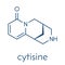 Cytisine baptitoxine, sophorine smoking cessation drug molecule. Skeletal formula.