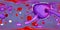 Cytomegaloviruses CMV in human blood
