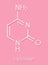 Cytosine pyrimidine nucleobase component. One of the bases found in DNA and RNA. Skeletal formula.