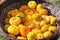 Czech agriculture and farming - autumnal pumpkins in the garden