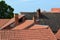 Czech, architecture, red roofs, tiles, chimney sweep, tourism, Netolice,