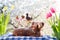 Czech Easter - baked lamb with decorations, flowers and flowering cherry in the background