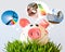 Czech economy and finance - piggy bank and - piggy bank dreams a